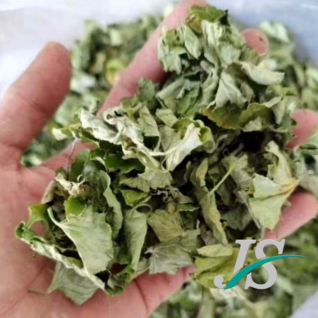 

Daun Pegagan Kering (150 Gram MURNI DAUN) Daun Pegagan Antanan