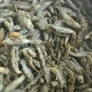 

ikan wader goreng 500gr