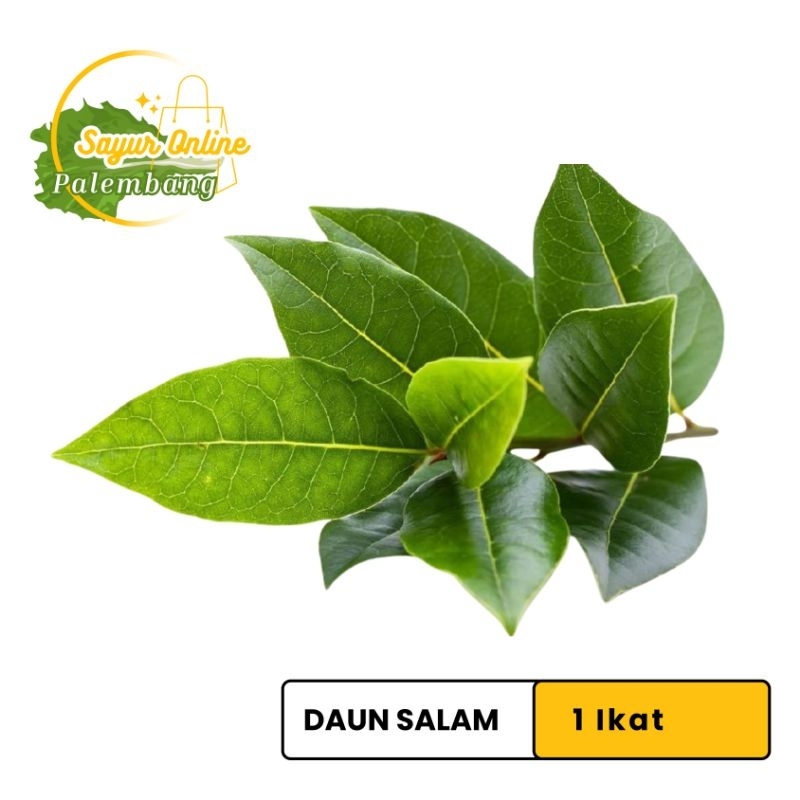 

Daun Salam 1Ikat - Sayur Online Palembang