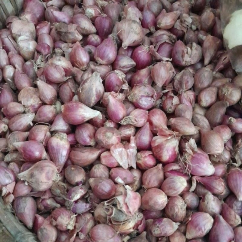 

Bawang merah,brambang 1 kg