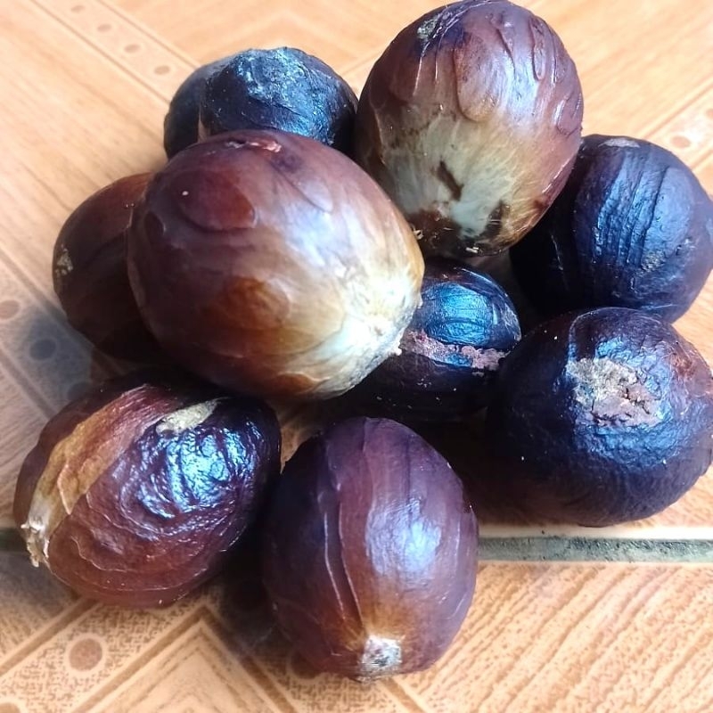 

Pala Kering | Pala tua berkualitas per 1 pcs ( promo beli 5 gratis 1 )