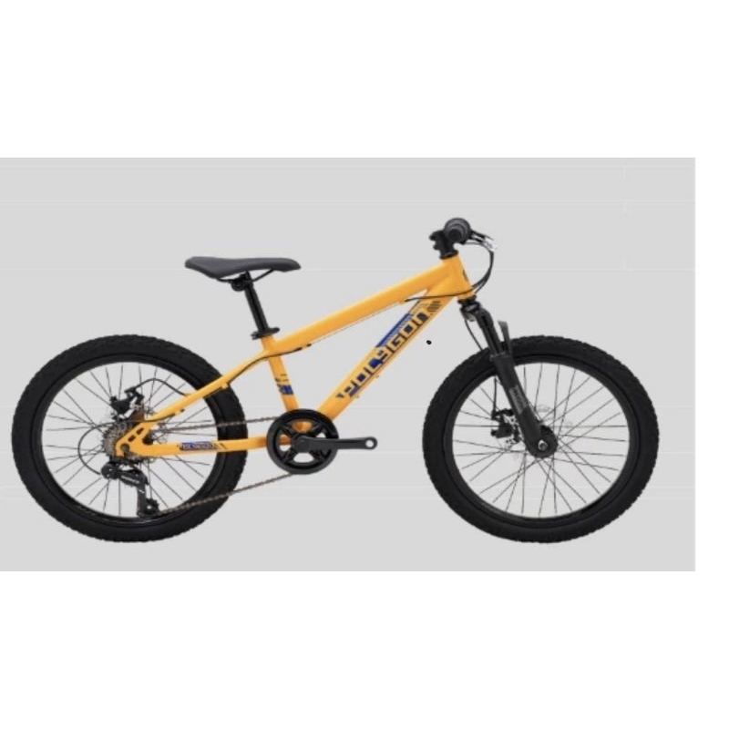 Sepeda MTB POLYGON MAZE 20 inch