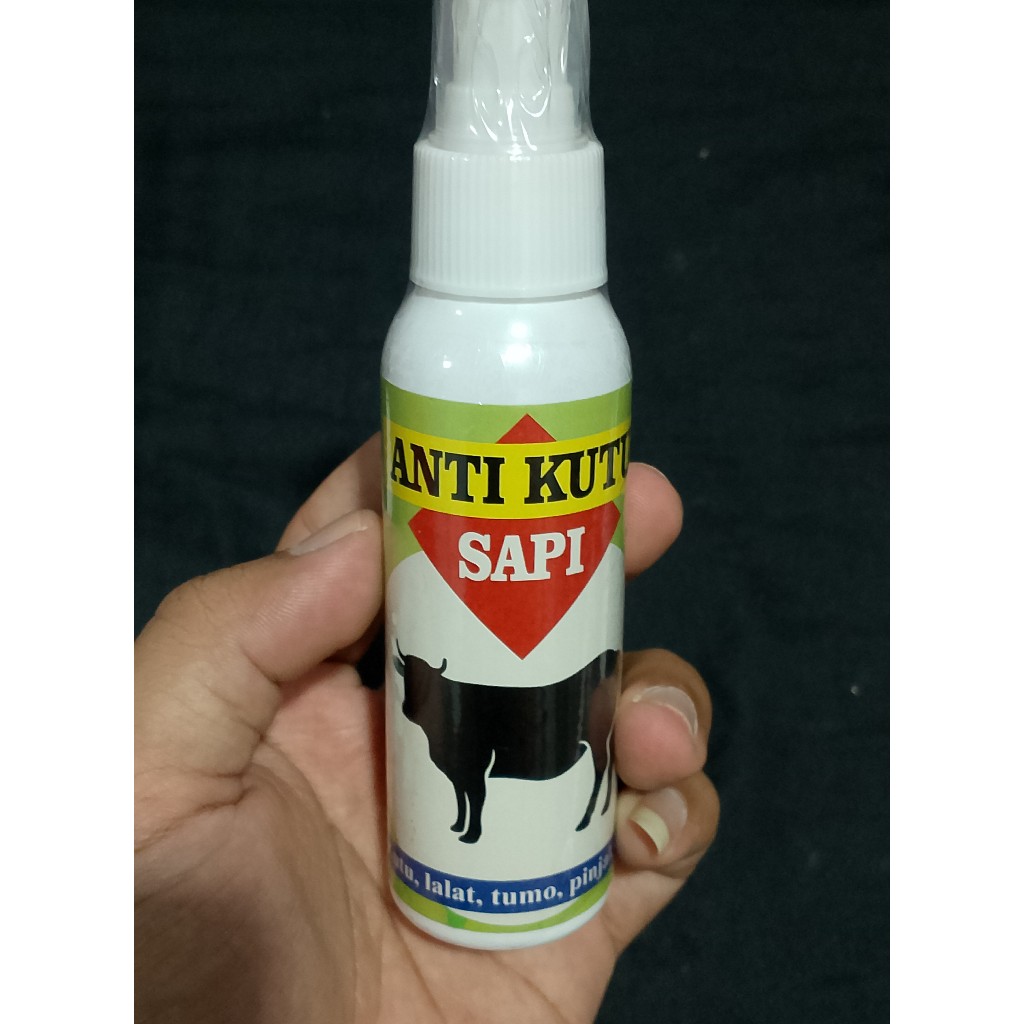 OBAT PEMBASMI KUTU PADA SAPI