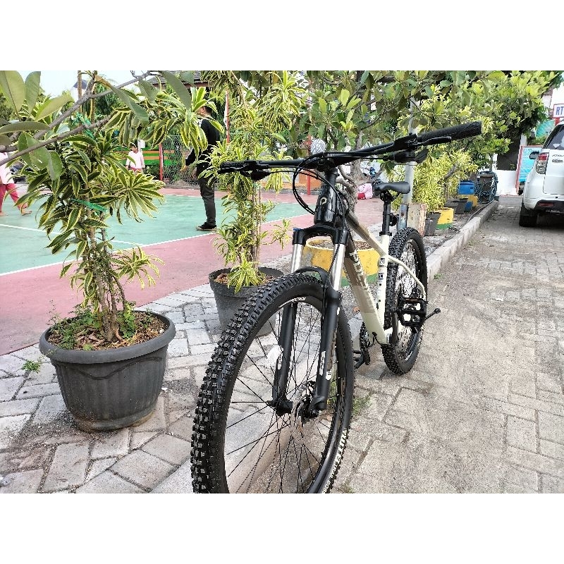 SEPEDA POLYGON XTRADA 6 2021 CAPPUCINO MULUS