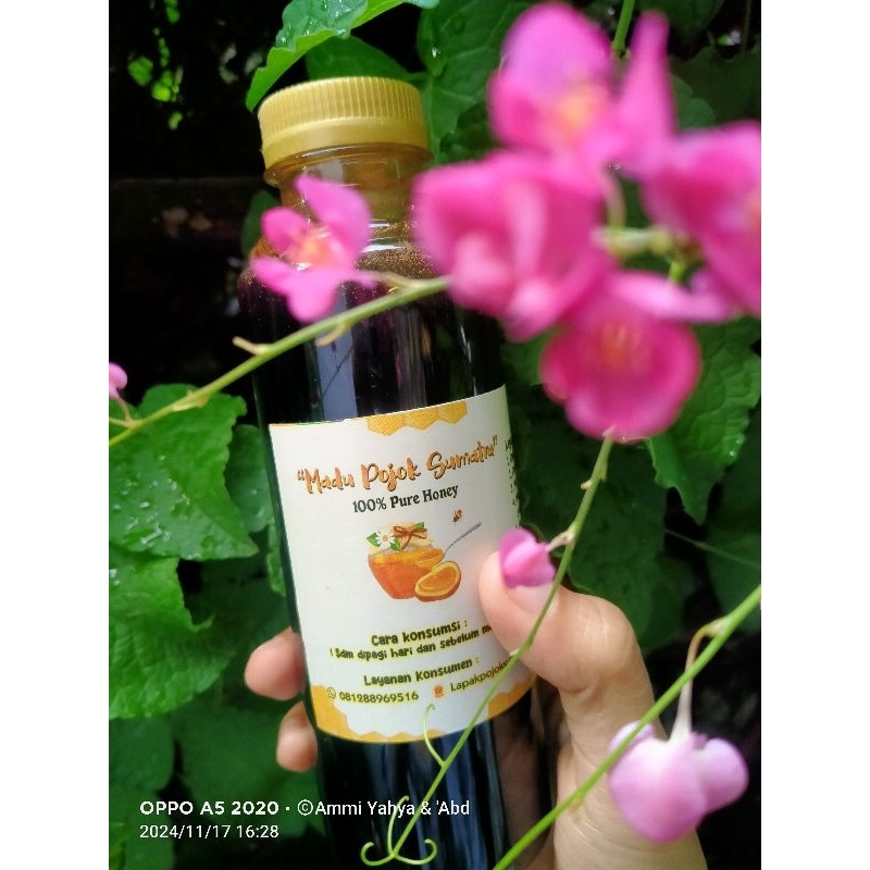 

Madu Pojok Sumatra
