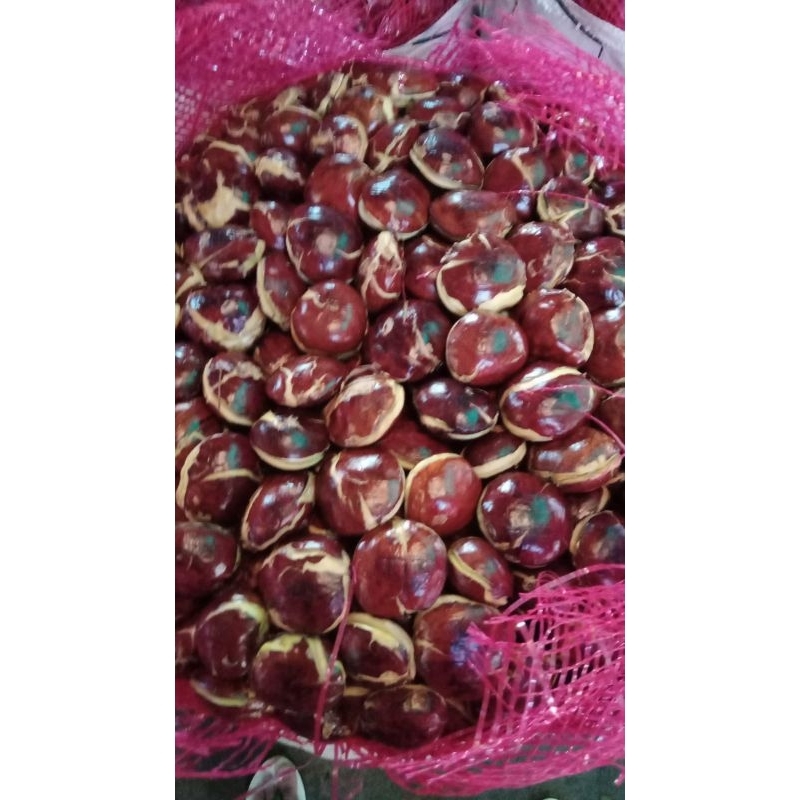 

JENGKOL TUA ABRES 1KG