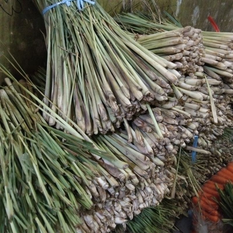 

100 Gram Serah Serai Lemon Grass Segar Fresh Rempah-Rempah Rimpang Bumbu Masak Bumbu dapur