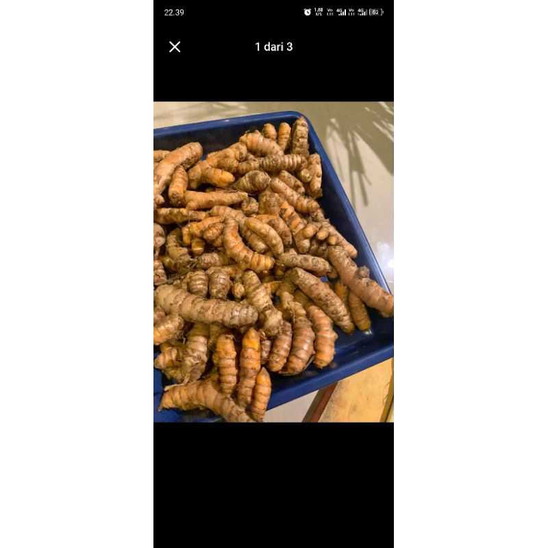 

kunyit kuning 500 gram