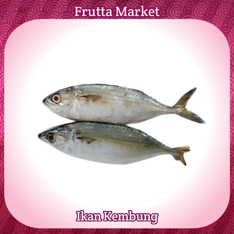 

Ikan Kembung Fresh