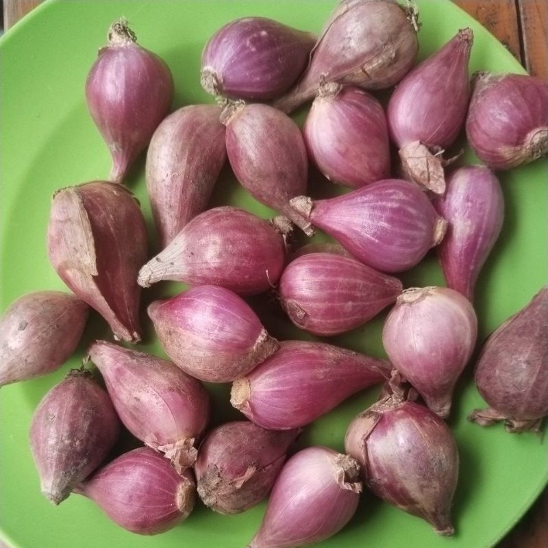 

Bawang merah ukuran sedang 1kg