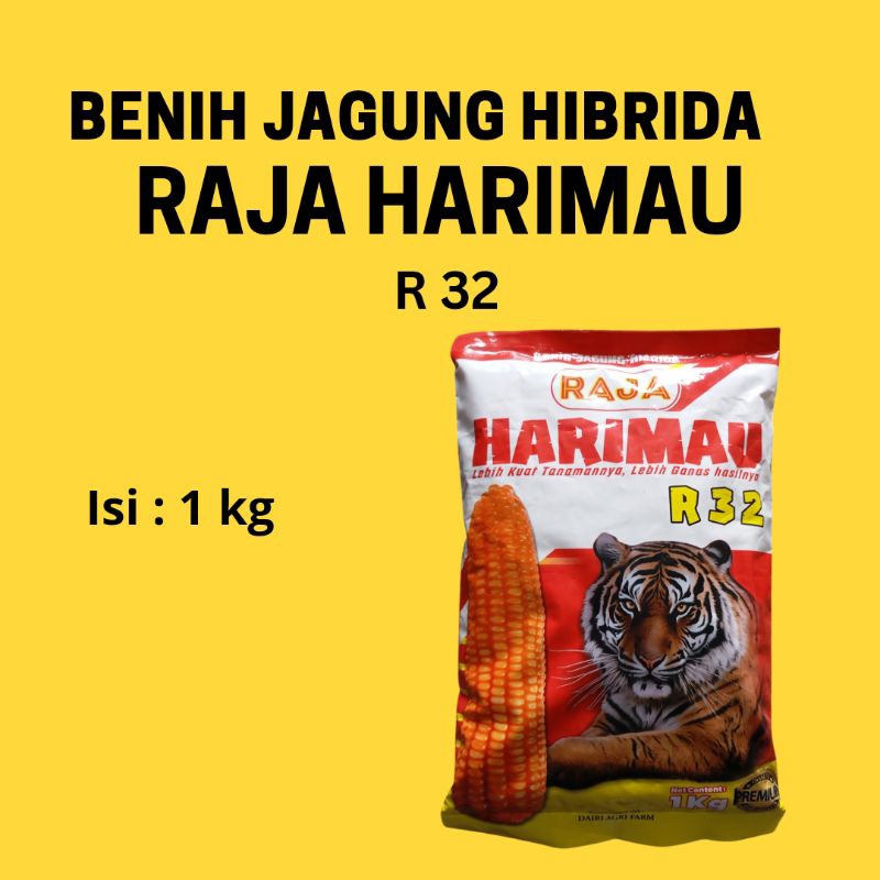 Benih/Bibit  jagung Hibrida RAJA HARIMAU R32 1KG