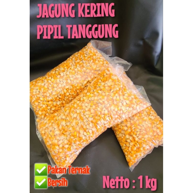 

JAGUNG KERING PIPIL SEDANG 1 KG