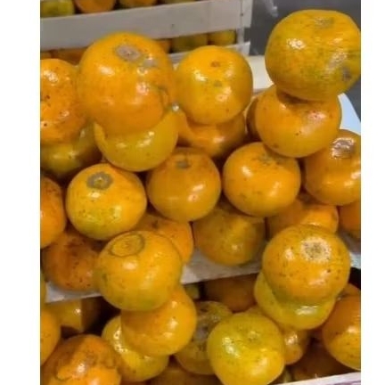 

jeruk medan dtop full manis 1kg isi -+10buah