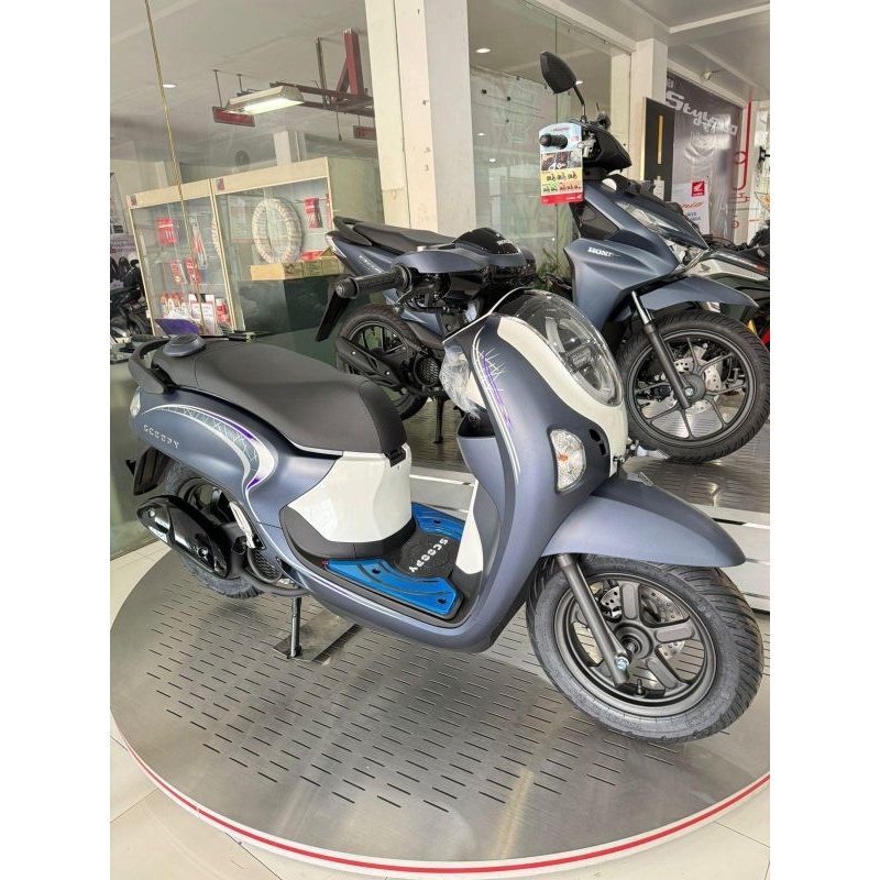 NEW HONDA SCOOPY SPORTY & FASHION