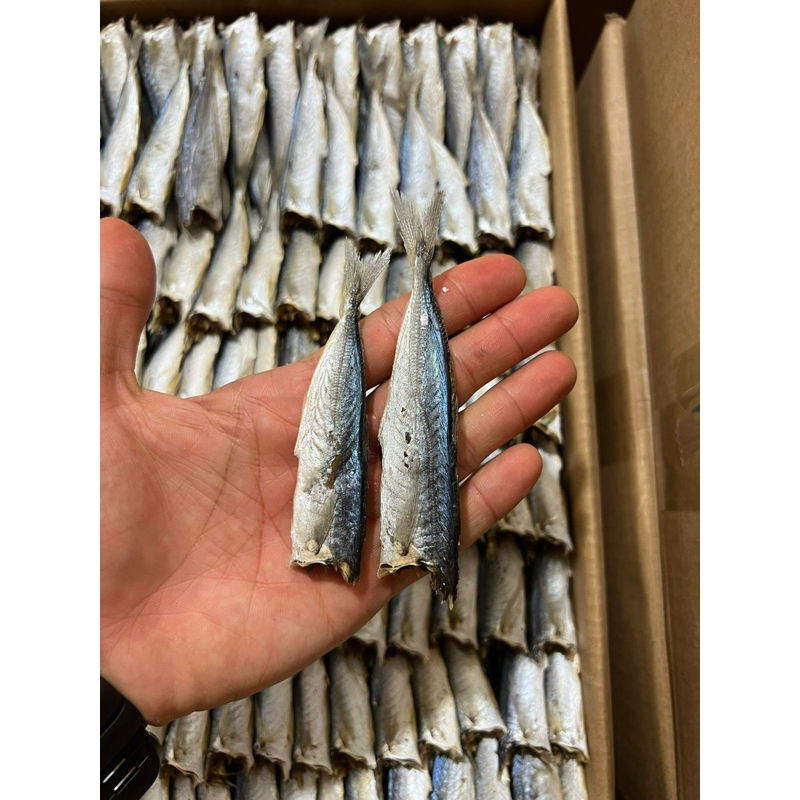 

IKAN OGAK REBUS TANAH PK 1kg