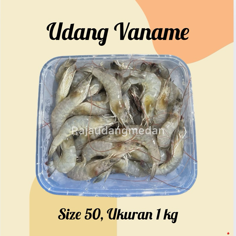 

UDANG VANAME FRESH MEDIUM SIZE 1 KG / UDANG TAMBAK FRESH / EBI FURAI TEPUNG/ FROZEN FOOD UDANG