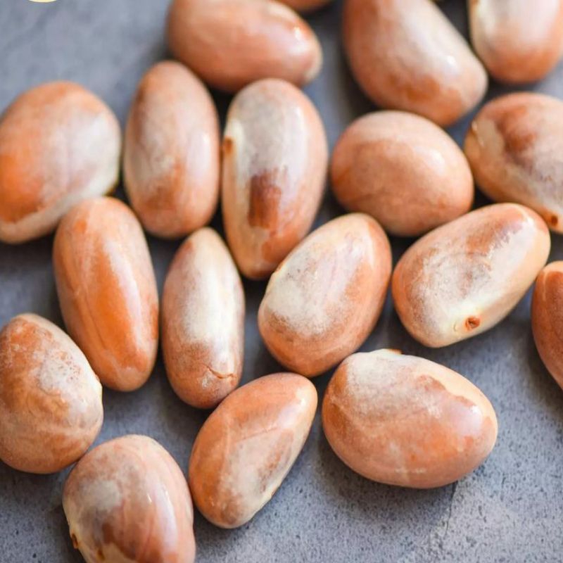 

BIJI NANGKA SUPER PRESH 500grm