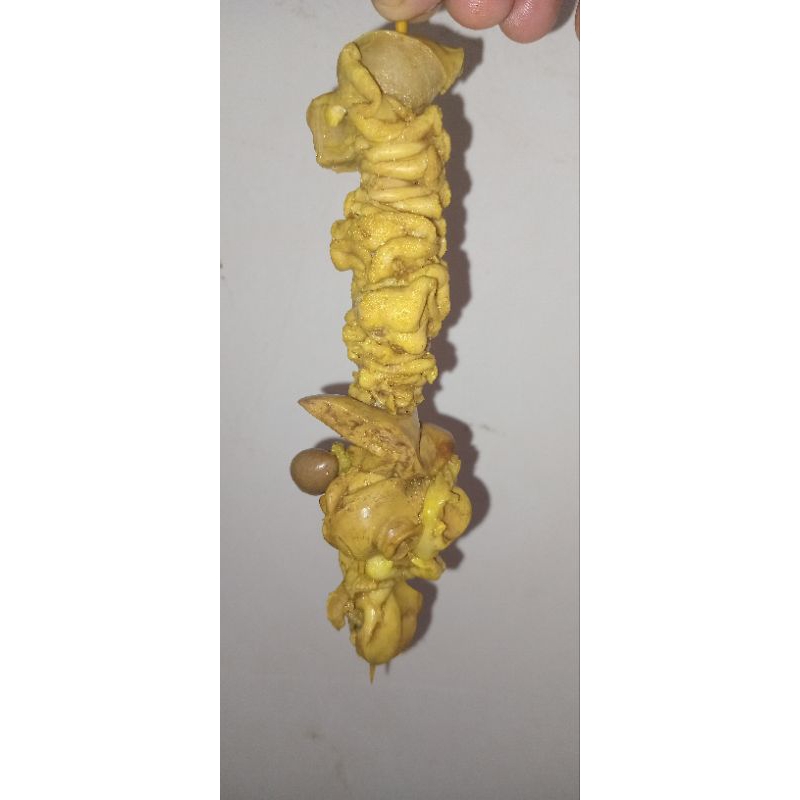 

HATI USUS AMPELA AYAM