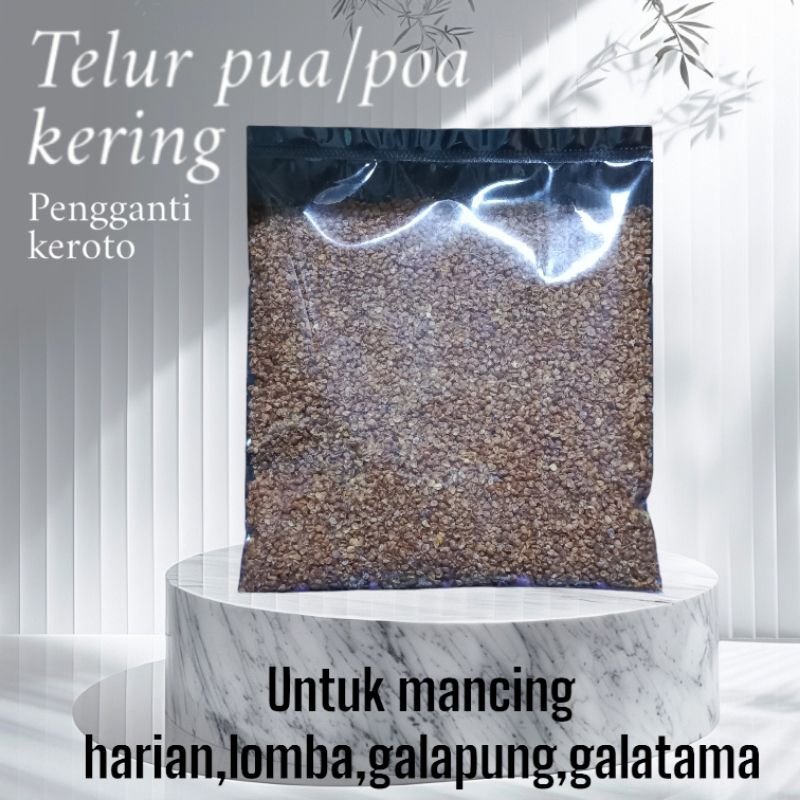 telur pua/poa kering umpan pancing/pengumpul ikan