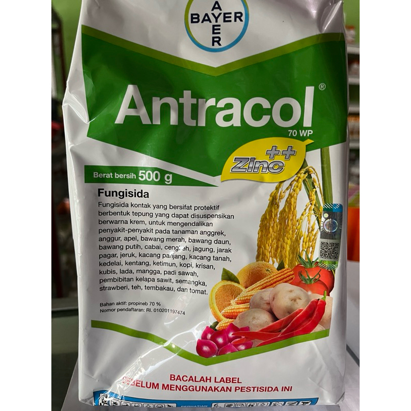 ANTRACOL 70 WP + ZINC  FUNGISIDA bahan aktif PROPINEB