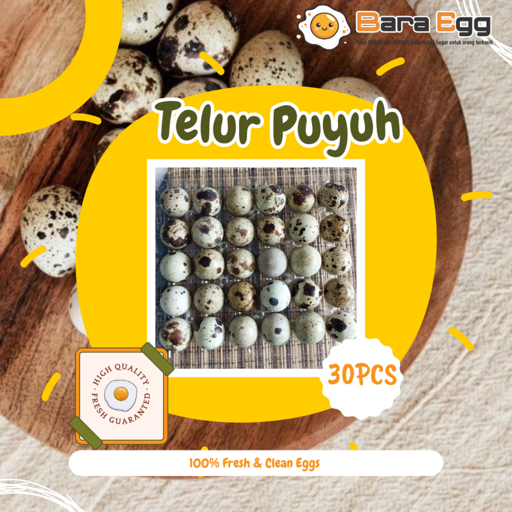 

TELUR PUYUH FRESH