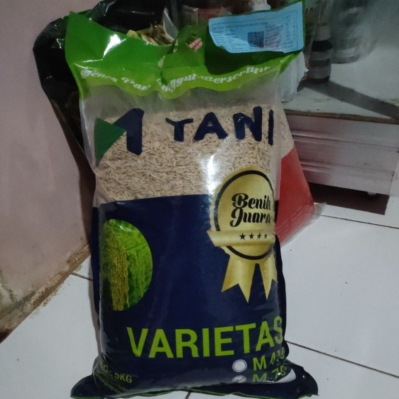 

padi m70D 5kg padi genjah