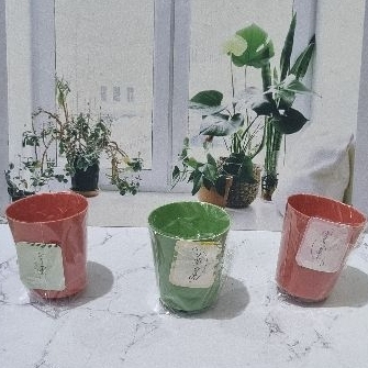 isi 50pcs souvenir gelas kemasan plastik//souvenir pernikahan//souvenir acara