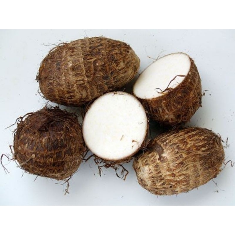 

Umbi talas kimpul