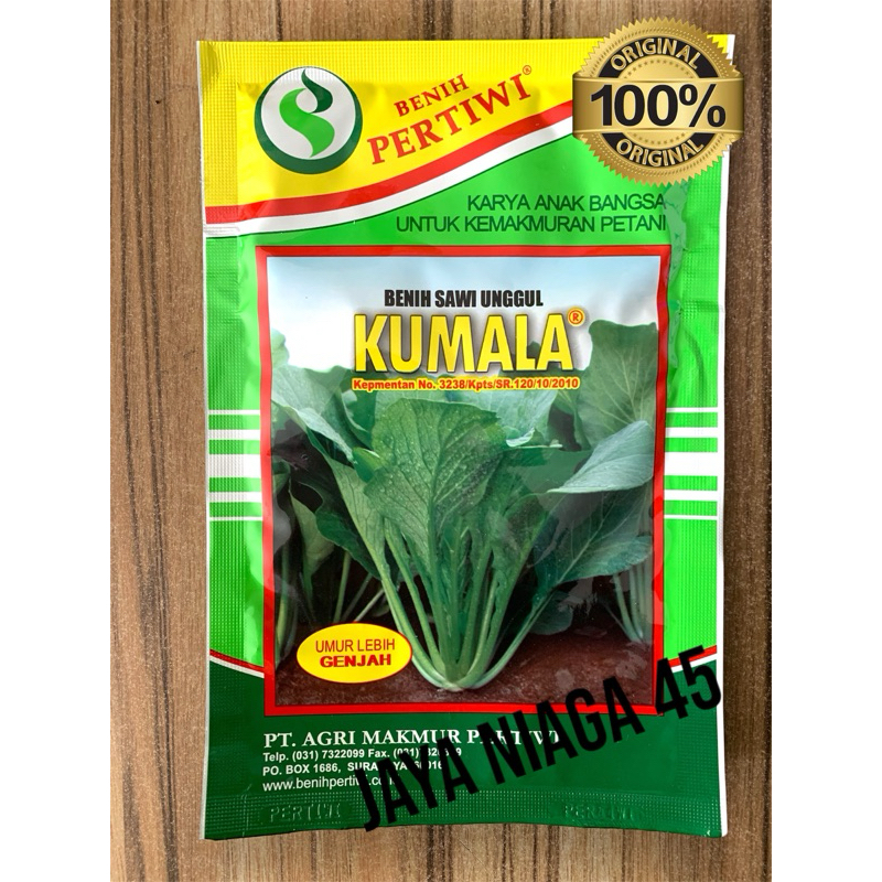 Benih Sawi Kumala (sawi pangsit)