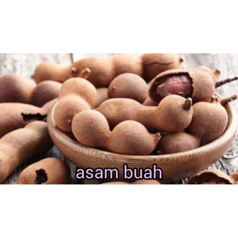 

ASAM BUAH SEGAR RP 6000 / 500 gram