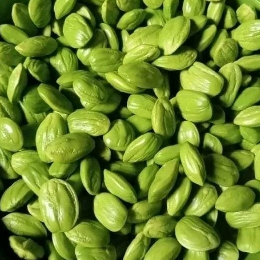 

Petai Kupas Tua Fresh Bukan Petai Matang 500 g