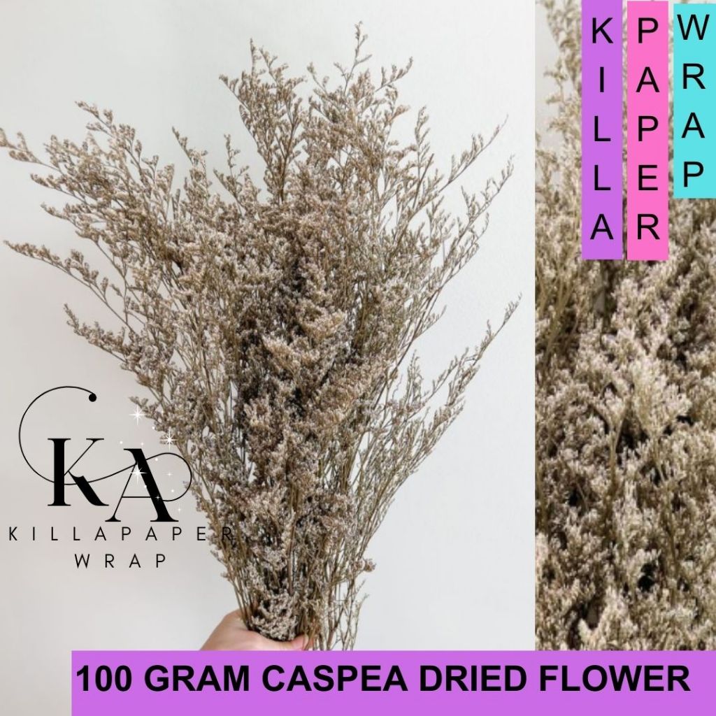 (GROSIR) 100 GRAM CASPEA BUNGA KERING DRIED FLOWER NATURAL ASLI HIASAN DEKORASI MURAH DRY KILLA