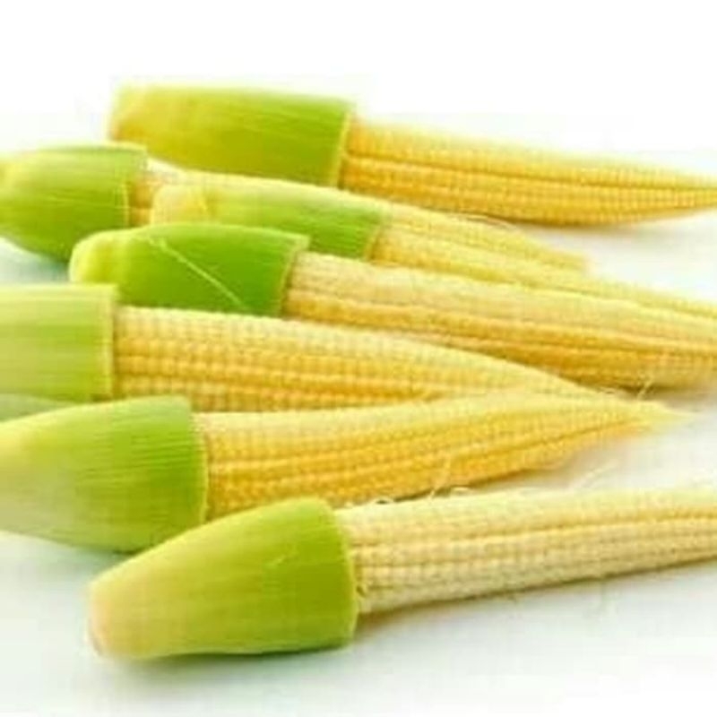 

jagung putren 200 gr