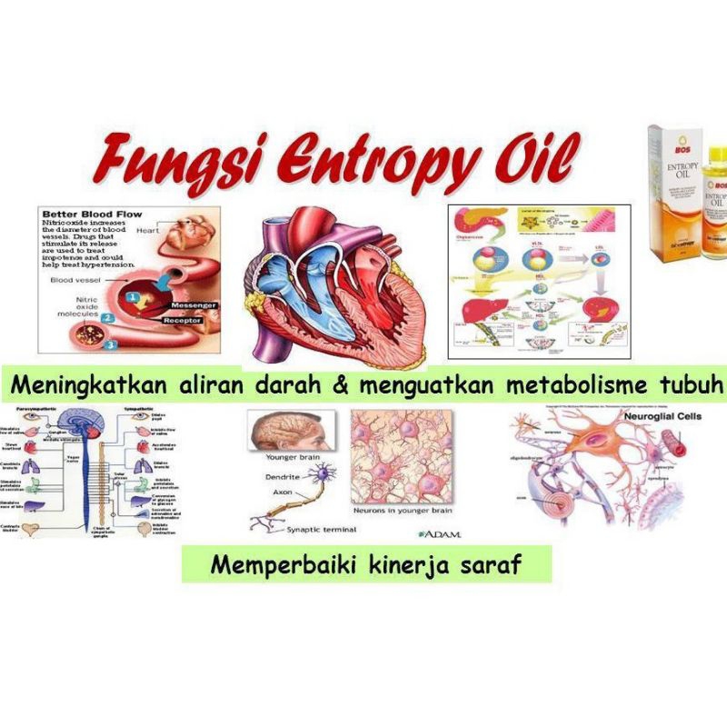 entropy oil 60ml minyak kesehatan untuk nyeri sendi nyeri tulang