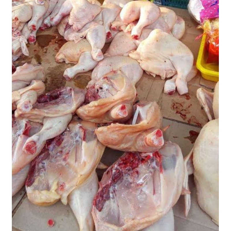 

ayam potong segar