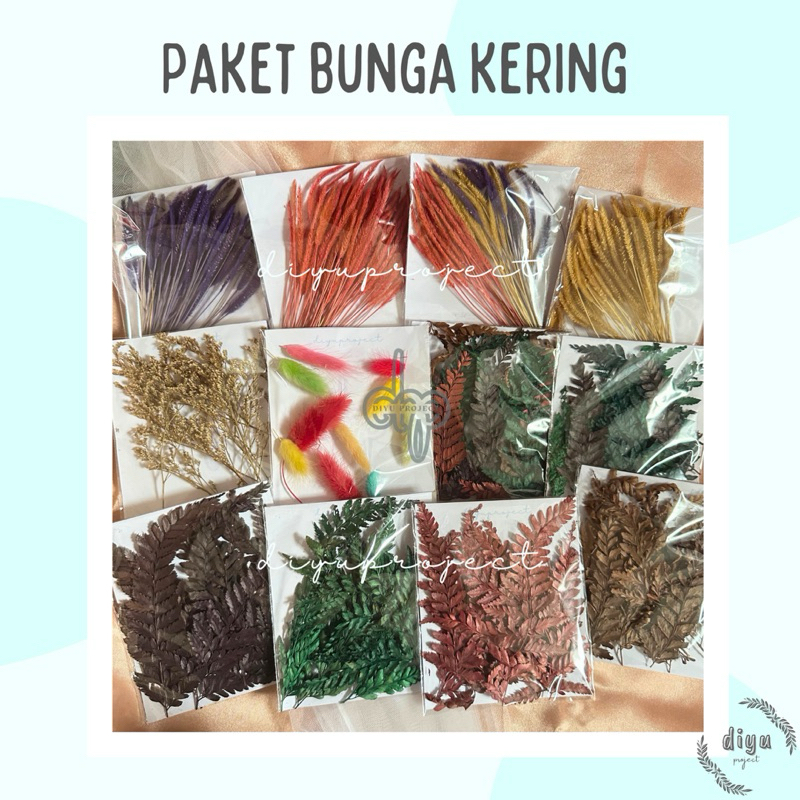 [READY STOCK] PAKET BUNGA KERING | OSON OSON CASPEA LAGURUS PAKIS | DRIED FLOWERS PACK | BUNNY TAIL 
