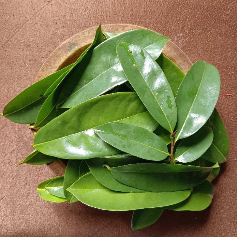 

250 GRAM DAUN DURIAN BELANDA /DAUN SIRSAK ORGANIK DAN FRESH