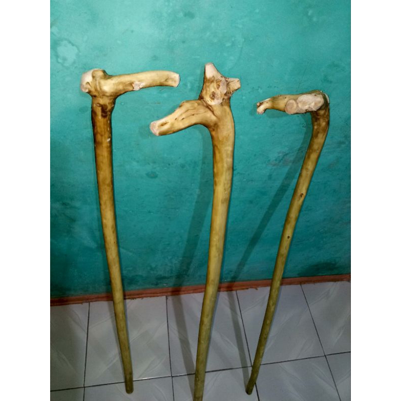 tongkat kayu alat bantu jalan asli alami alam rendom