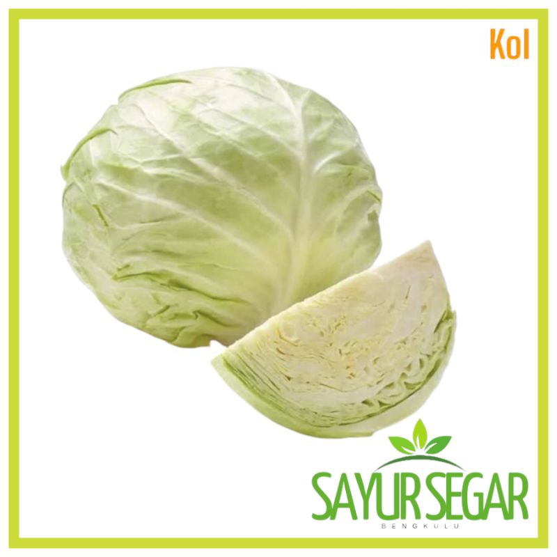 

Sayur Kol Per Buah (1 - 1,5kg)