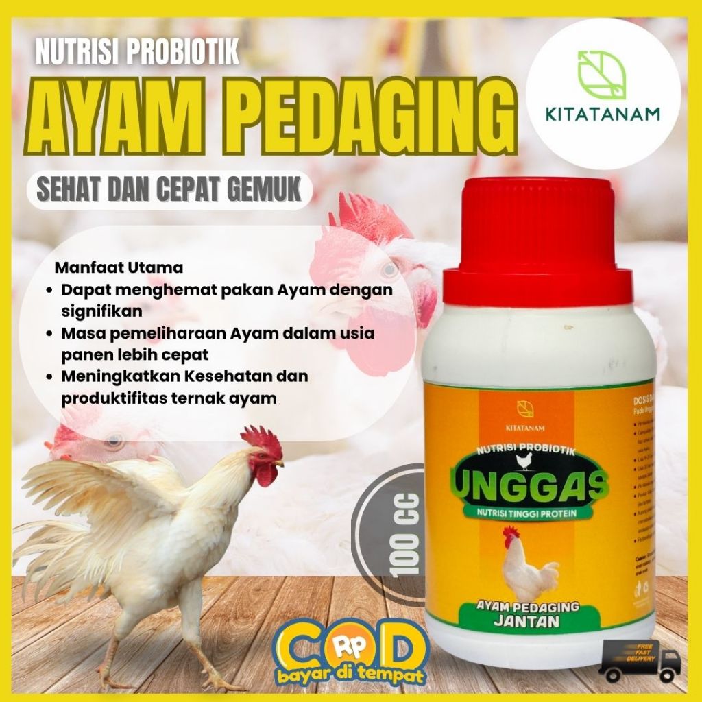 Vitamin Ayam Pedaging, Obat Ayam Pedaging, Vitamin Penggemuk Ayam Pedaging, Kitatanam