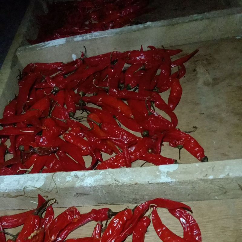 

cabe merah
