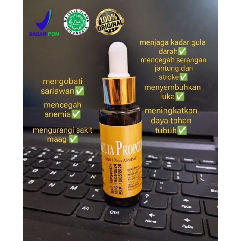 MELIA PROPOLIS 55ML 100% ORIGINAL - Obat Herbal Propolis Non Alkohol