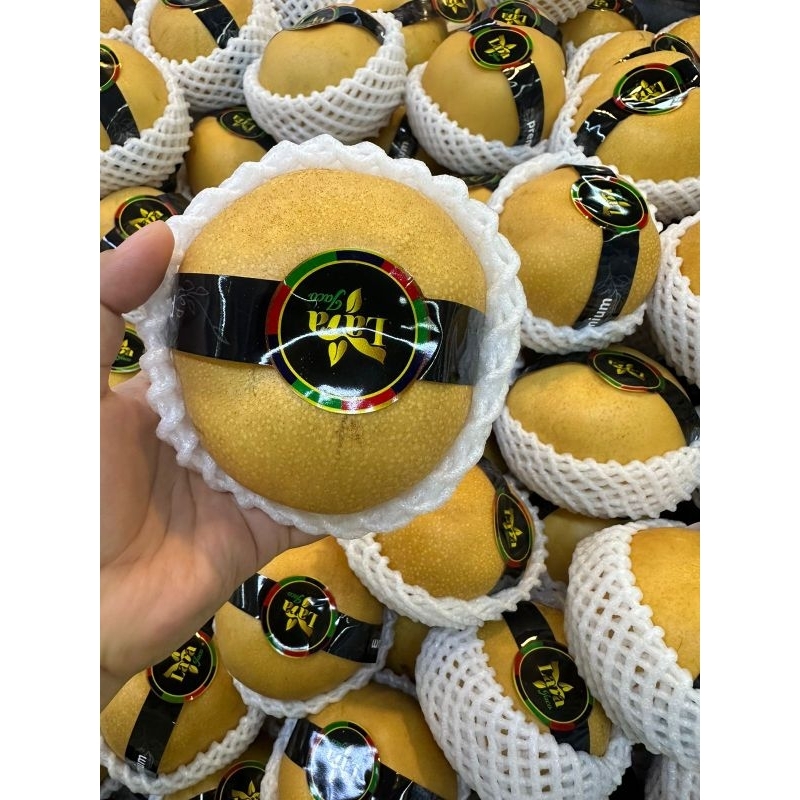 

Pear Singo RRC 2kg | Pear Premium Murah