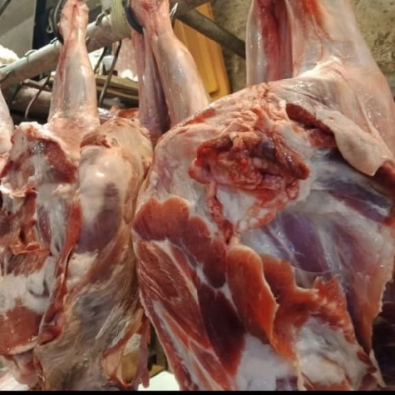 

Paha Kambing Daging + Tulang Fresh Sudah dipotongin 1 Kg