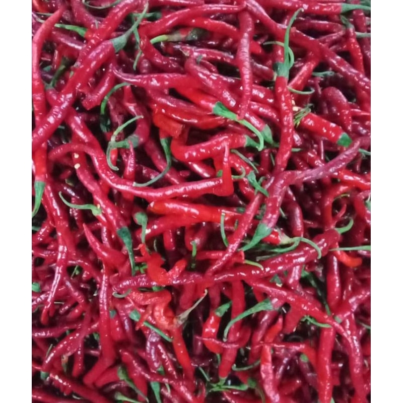 

cabai merah kriting murah meriah