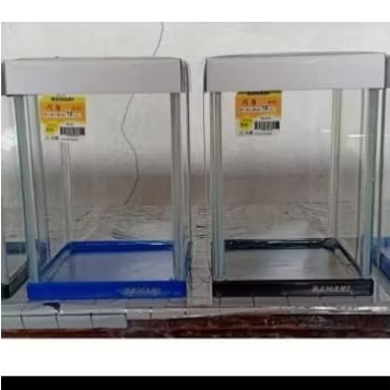 aquarium soliter cupang bahari