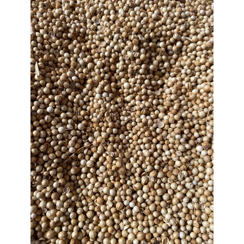 

KETUMBAR BUMBU DAPUR