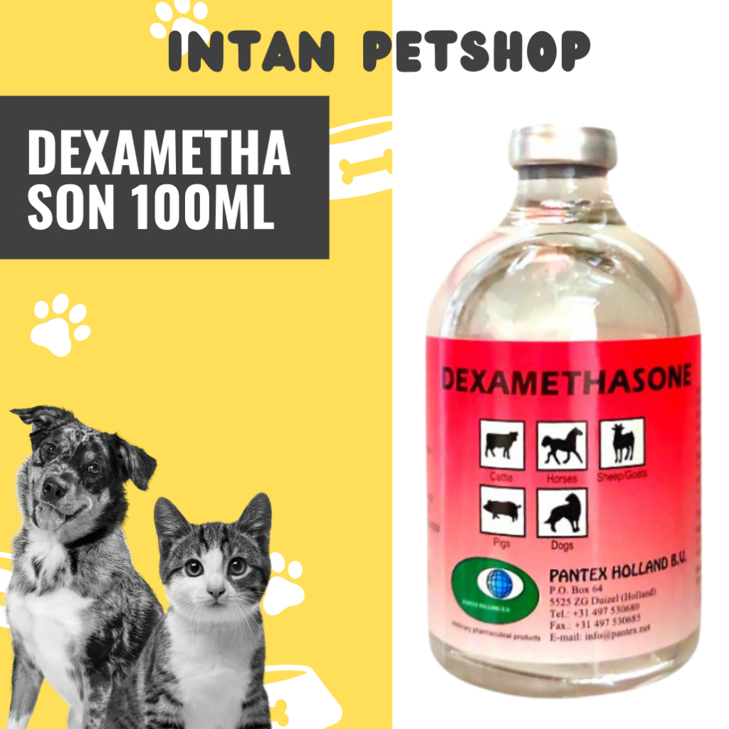 Dexamethason 100ml - Anti Inflamasi - Pantex Holland - Obat Injek