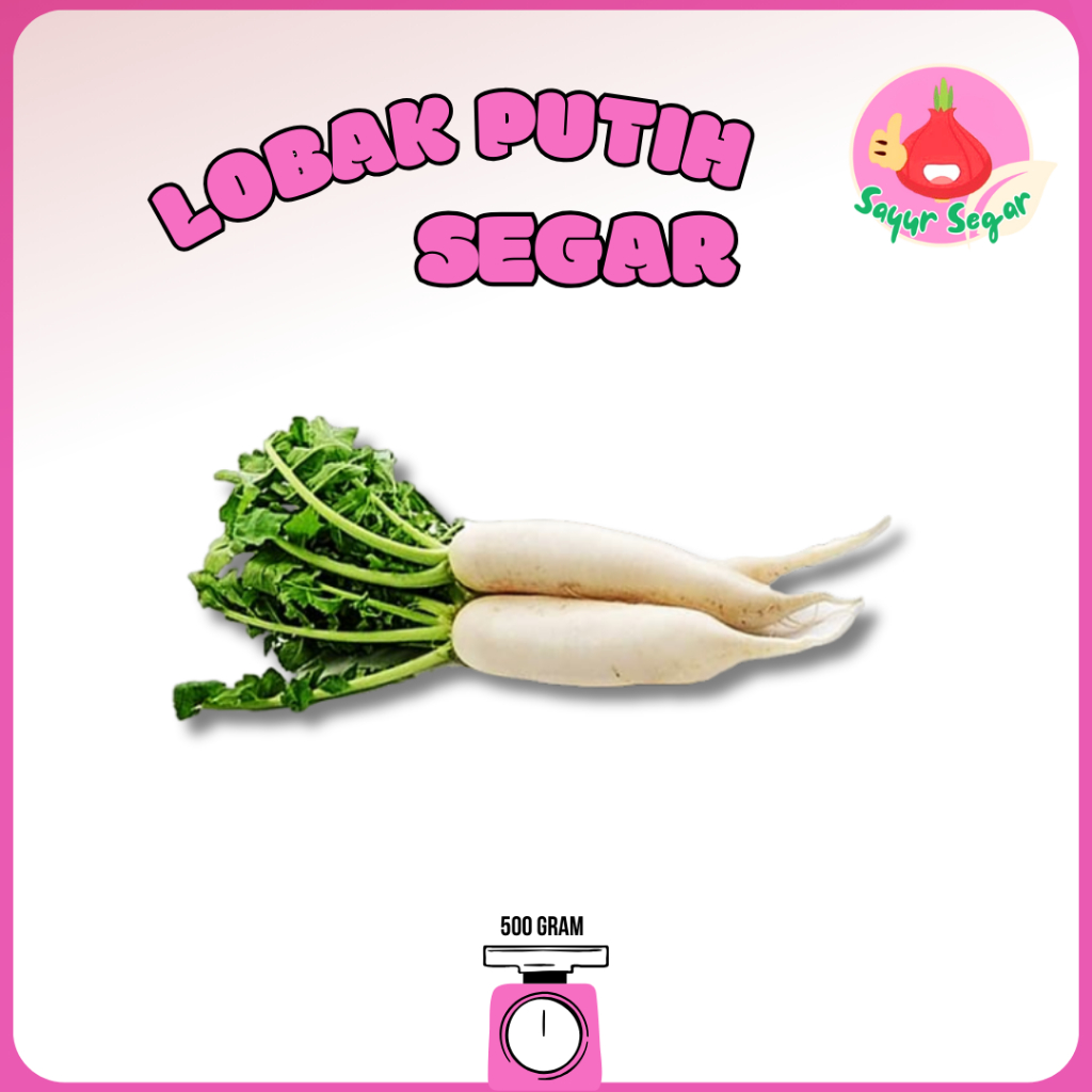 

Sayur Segar - Lobak Putih Segar 500 gr / White Radish