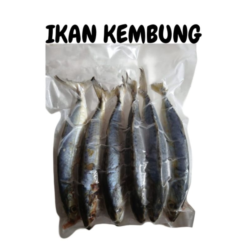 

Ikan kembung Frozen/ikan beku/ikan 1kg